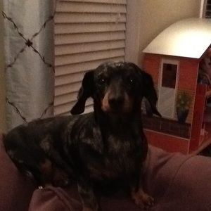 Meet your Posher, Sandra